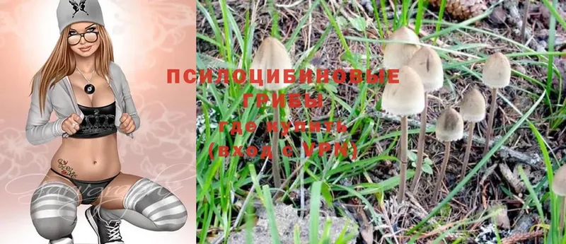 Галлюциногенные грибы MAGIC MUSHROOMS  где купить наркоту  Омск 